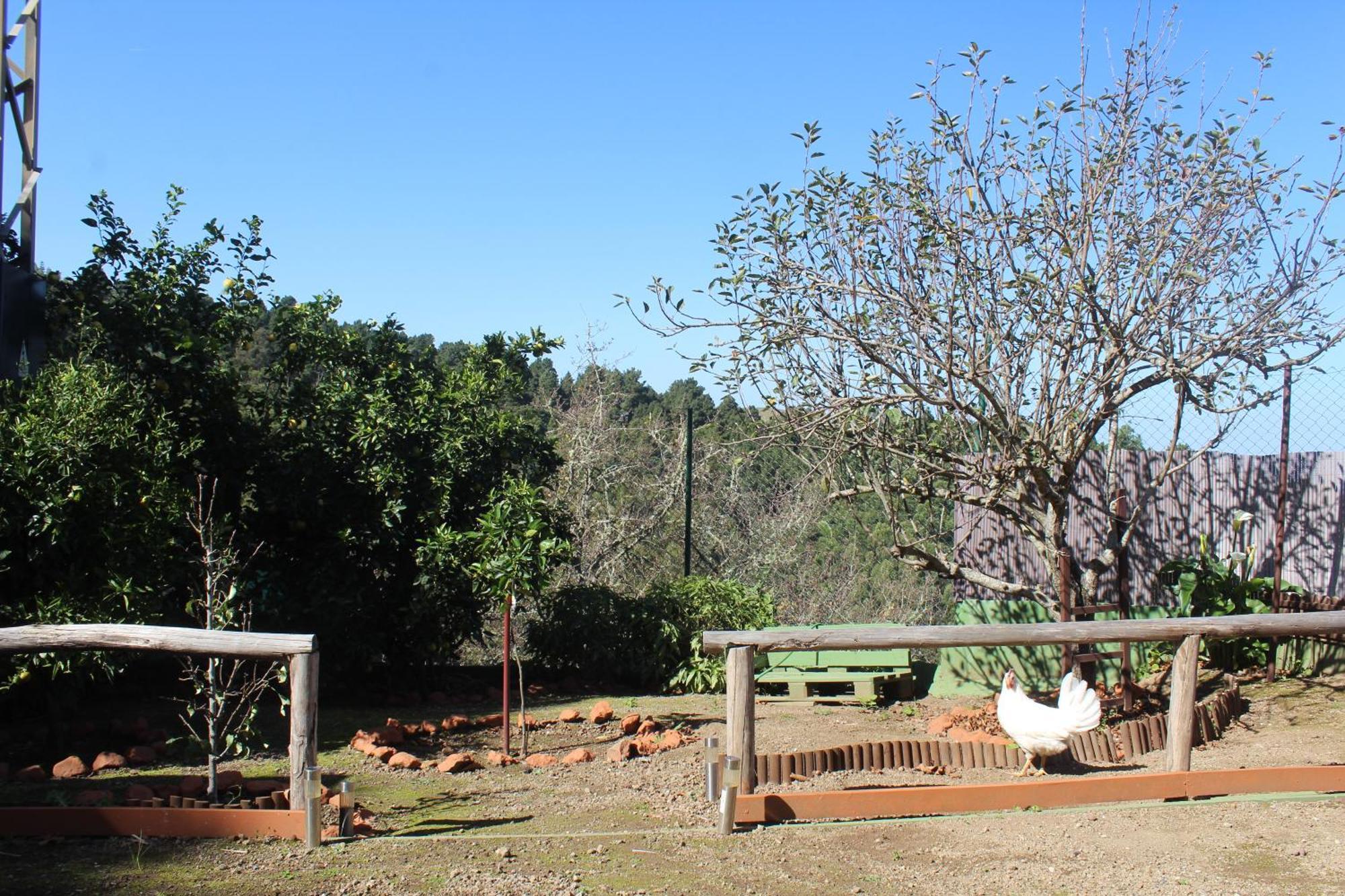 Finca Esther Las Palmas de Gran Canaria Extérieur photo